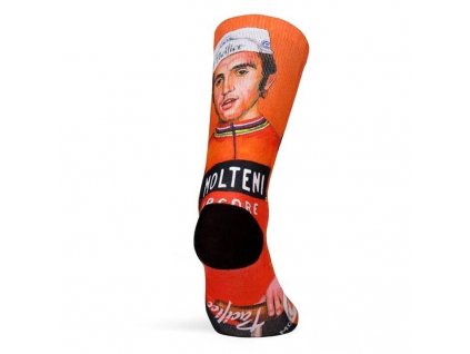 pacificandco calcetines socks ciclismo merckx back 1 718x718