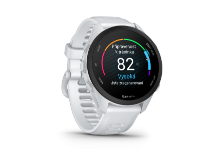 garmin forerunner 70 whitestone mi 1786093270