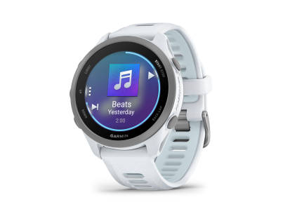 garmin forerunner 170 music whitestone cloud blue mi 1779118785