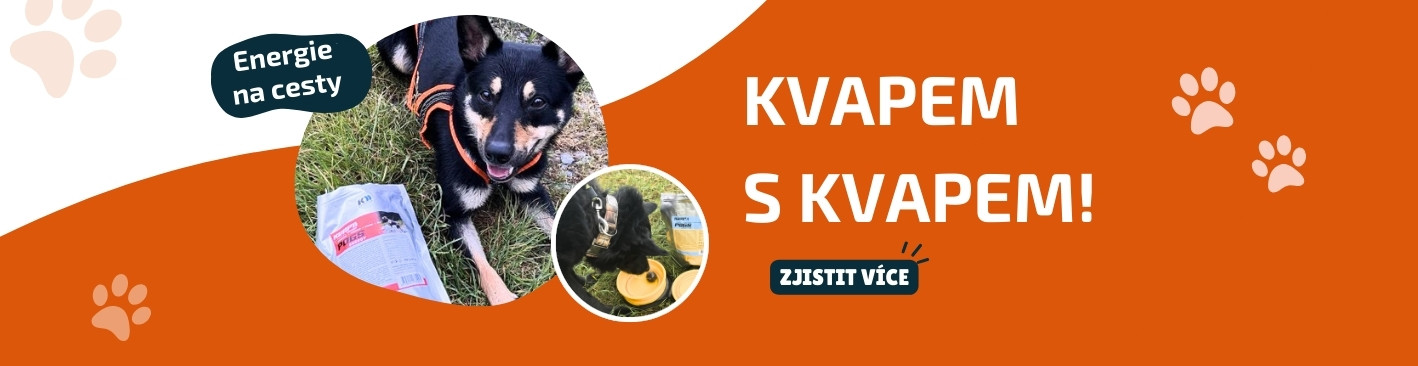 Kvap