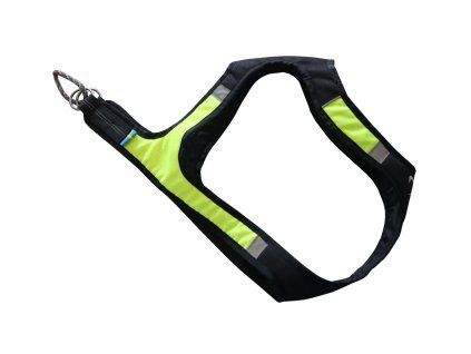 axaeco harness x run side view