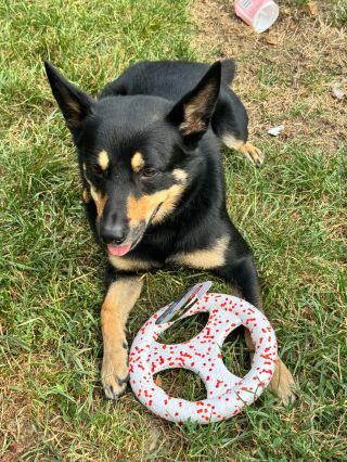 Všechno nejlepší do další pětiletky, Ciďulko. A všem Céčkům od Eva Lacourt též