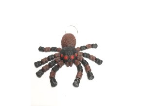 Pavouk velký petG