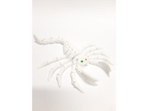 Kostra štíra velká petG