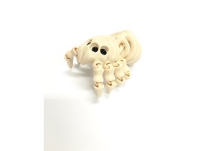 Kostra pavouka velká PetG