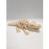 Krokodýl kostra dekorace 3D tisk PLA/PetG