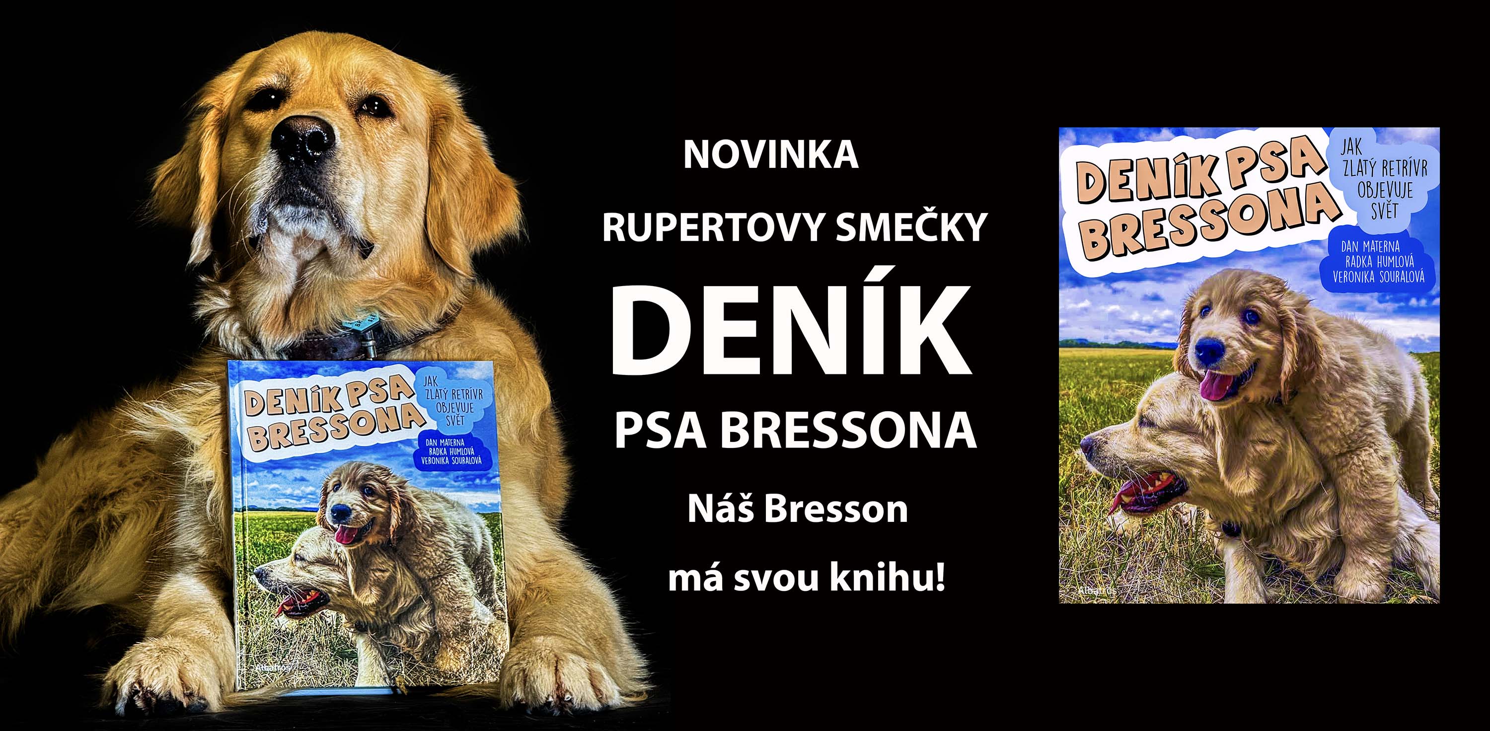 Kniha_Denik_psa_Bressona