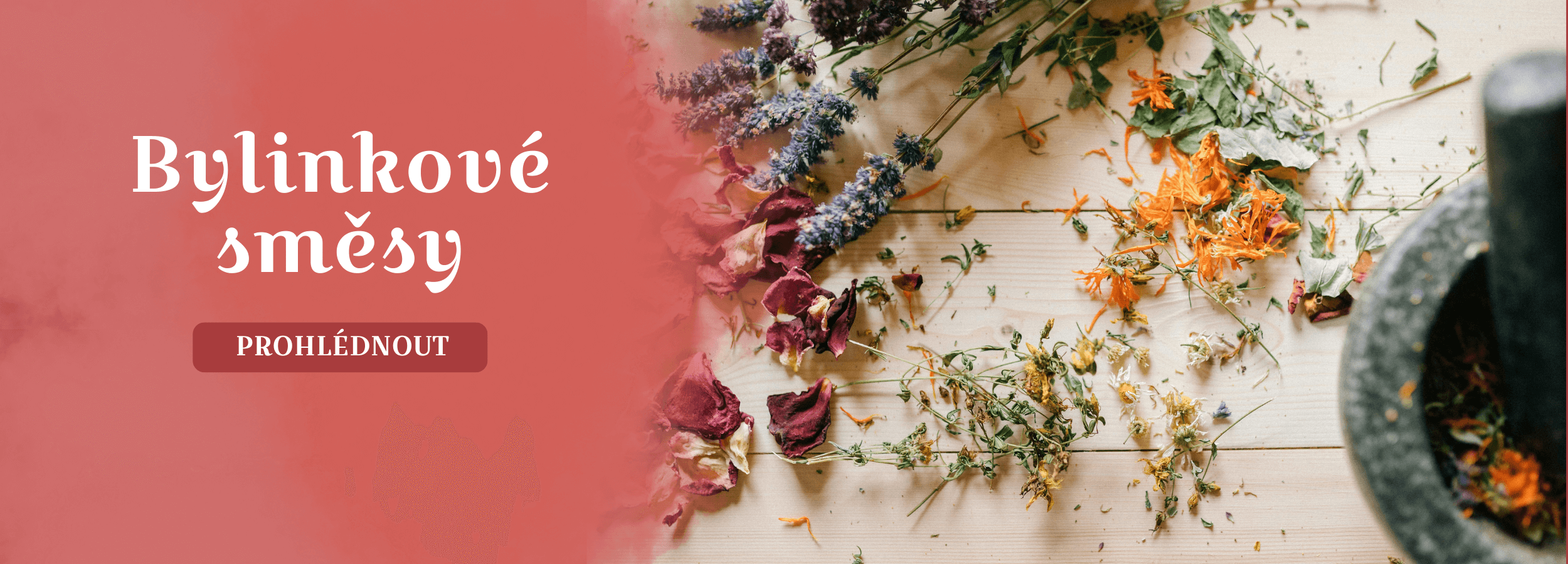 bylinky