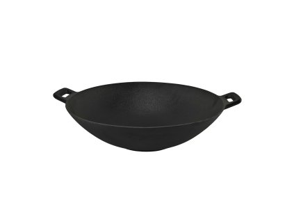 65387 activa litinova panev wok
