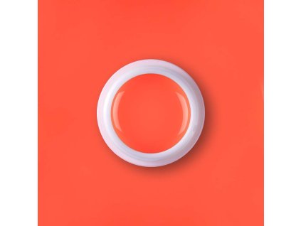 CH560 hasta la vista