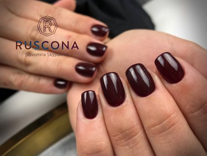wine nova