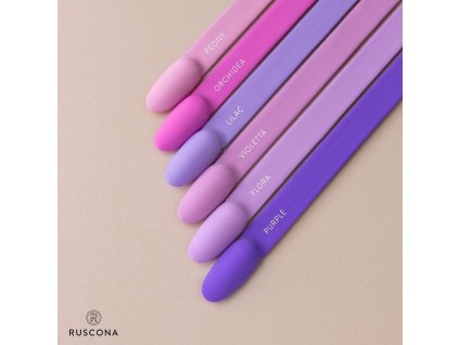 violetta nova