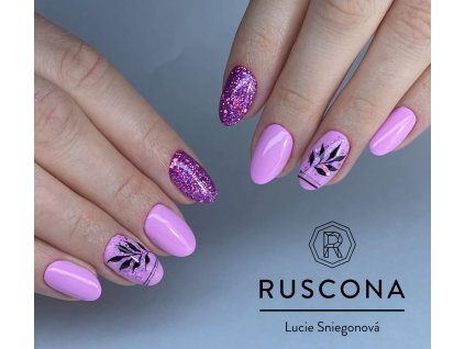 lolli chic nova