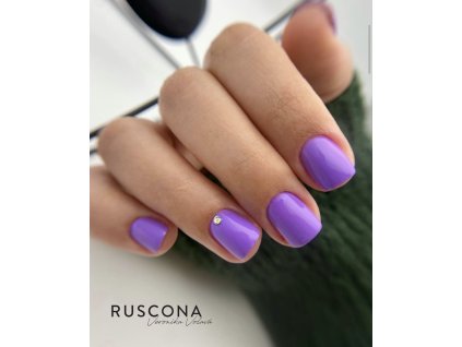 crocus nova
