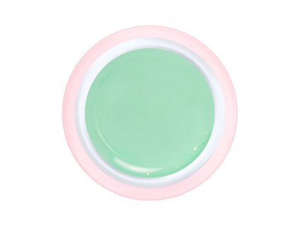 604 lolli mint