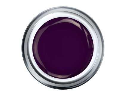 russian violet nova