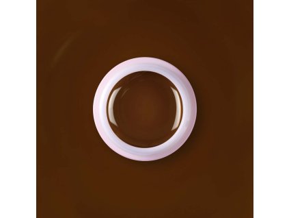CH360 brownie
