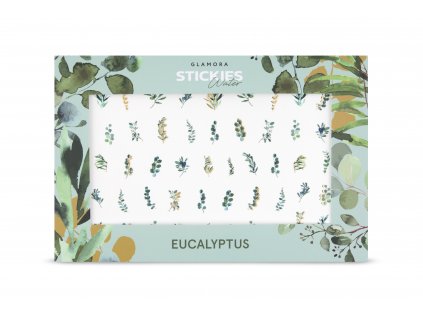 22 eucalyptus 2new