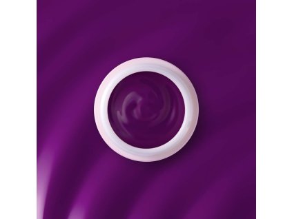 Art gel plus Purple