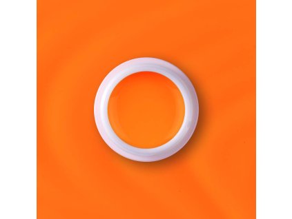 148 pumpkin orange(1)