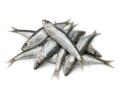 imgonline com ua Resize qXscx9zpbBZ