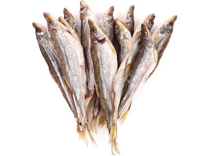 abfa09f833cf01479c9e85eb825e8916