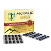 Mumio Gold doplněk stravy 60*200mg