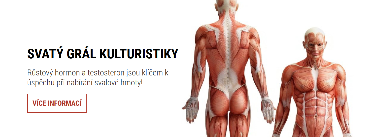 Růst svalů a síly