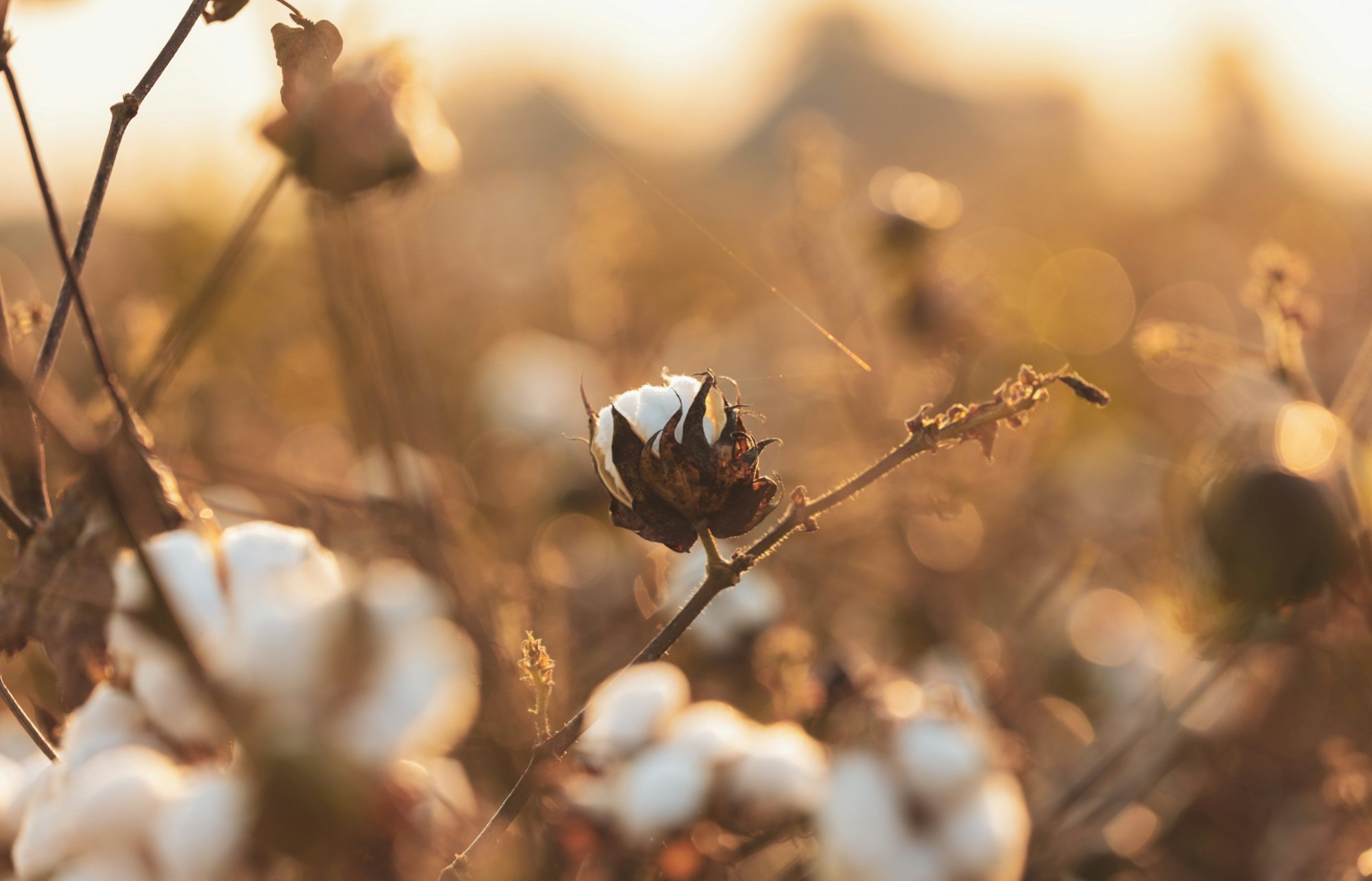 Ako si vybrať najlepšie ekologické produkty pre novorodenca