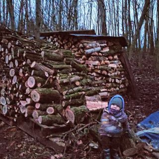 Dřevo připraveno, a teď se pěkně vysuš :)