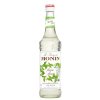vyr 1384 MONIN mojito