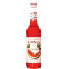 vyr 1386 MONIN watermelon