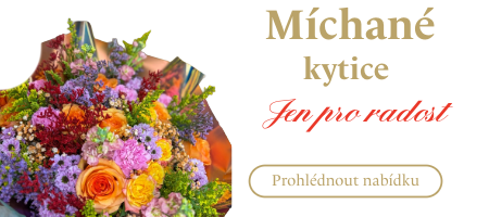 Míchané kytice – jen pro radost. Prohlédněte si nabídku Růže Michael.