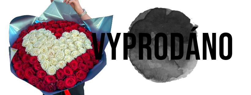 Vyprodáno Valentýn