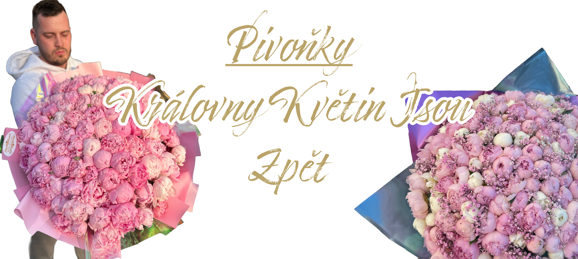 Pivoňky