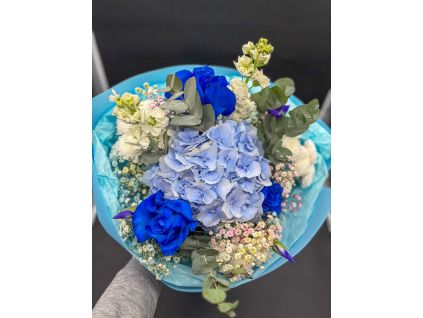 Blue Embrace of the Sky