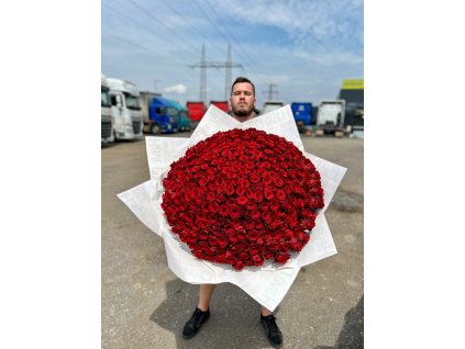 Muž držící obrovský puget 301 rudých růží v elegantním balení, symbol vášnivé lásky.