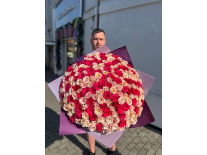 Obří pugét 251 klasických růží v růžové, krémové a lososové barvě