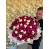 Peony Elegance