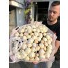 Luxury Peony Arrangement – 854/51