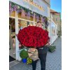 Monumentální kytice 101 červených růží – dlouhé stonky, velké hlavy květů, prémiové balení