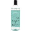 16033 EN DE ES PT CZ SK HU HR CS SHOWER GEL FRESH TEA MINT 53999