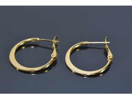 436 s0362 nausnice krouzky gold z chirurgicke oceli