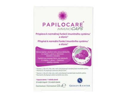 Snímek obrazovky 2025 04 29 222202