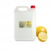 Antiviral dezinfekce na ruce citron 10l kanystr