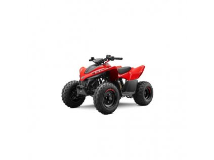 vyr 76057 gladiator x110 le rwdshop