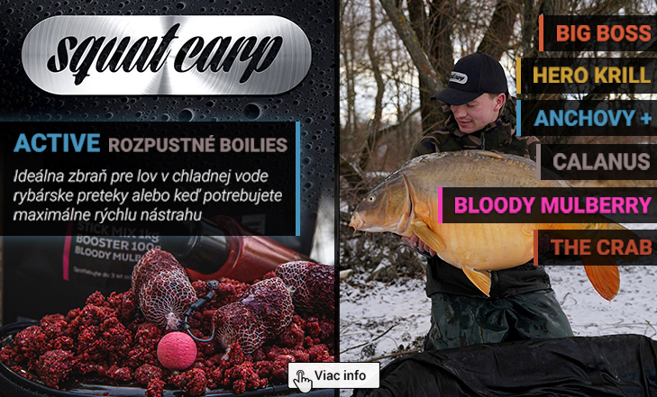 Boilies Squat Carp