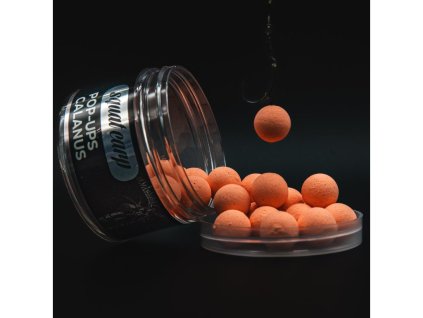 plavajuce-boilies-squat-carp-pop-up-calanus-01