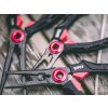Rybárske potreby - Kliešte Rapala RCD Mag Spring Pliers 20cm