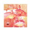 boilies-squat-carp-the-crab-08